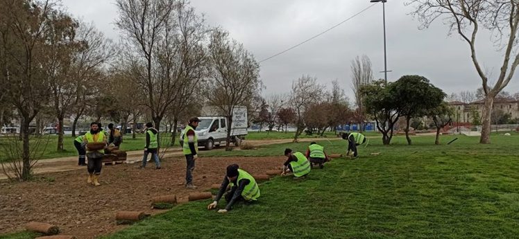 Haliç’te mavi ile yeşil buluşuyor