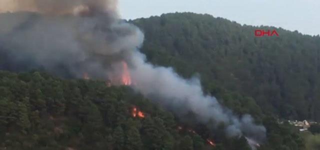 Beykoz’da ormanlık alanda yangın